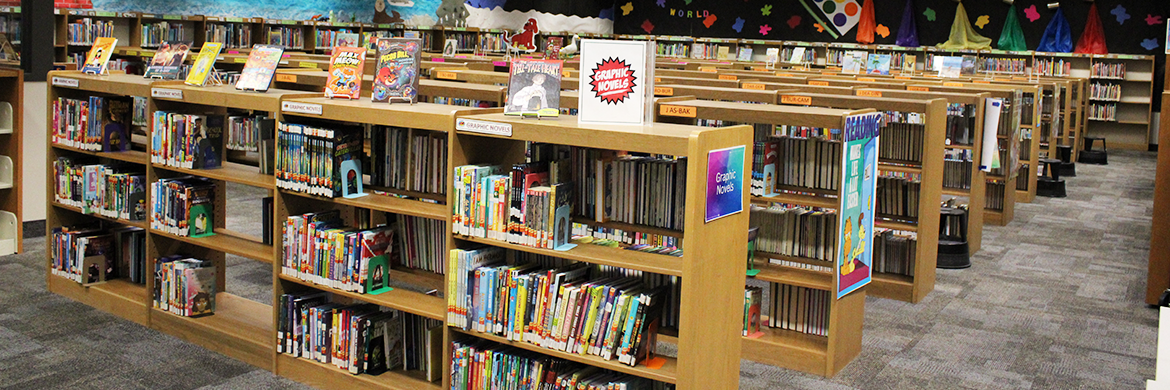 Rows of bookshelves