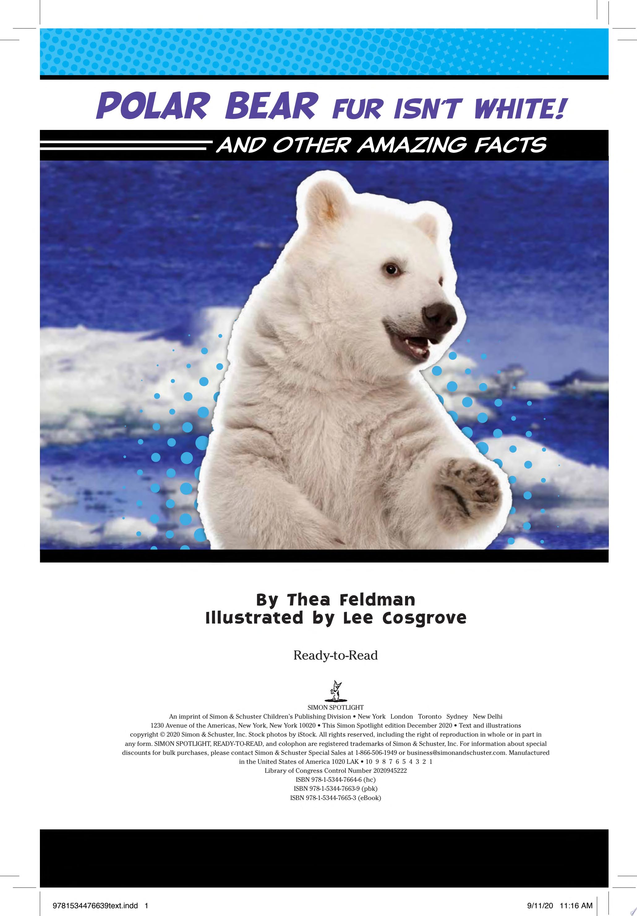 Image for "Polar Bear Fur Isn't White!"