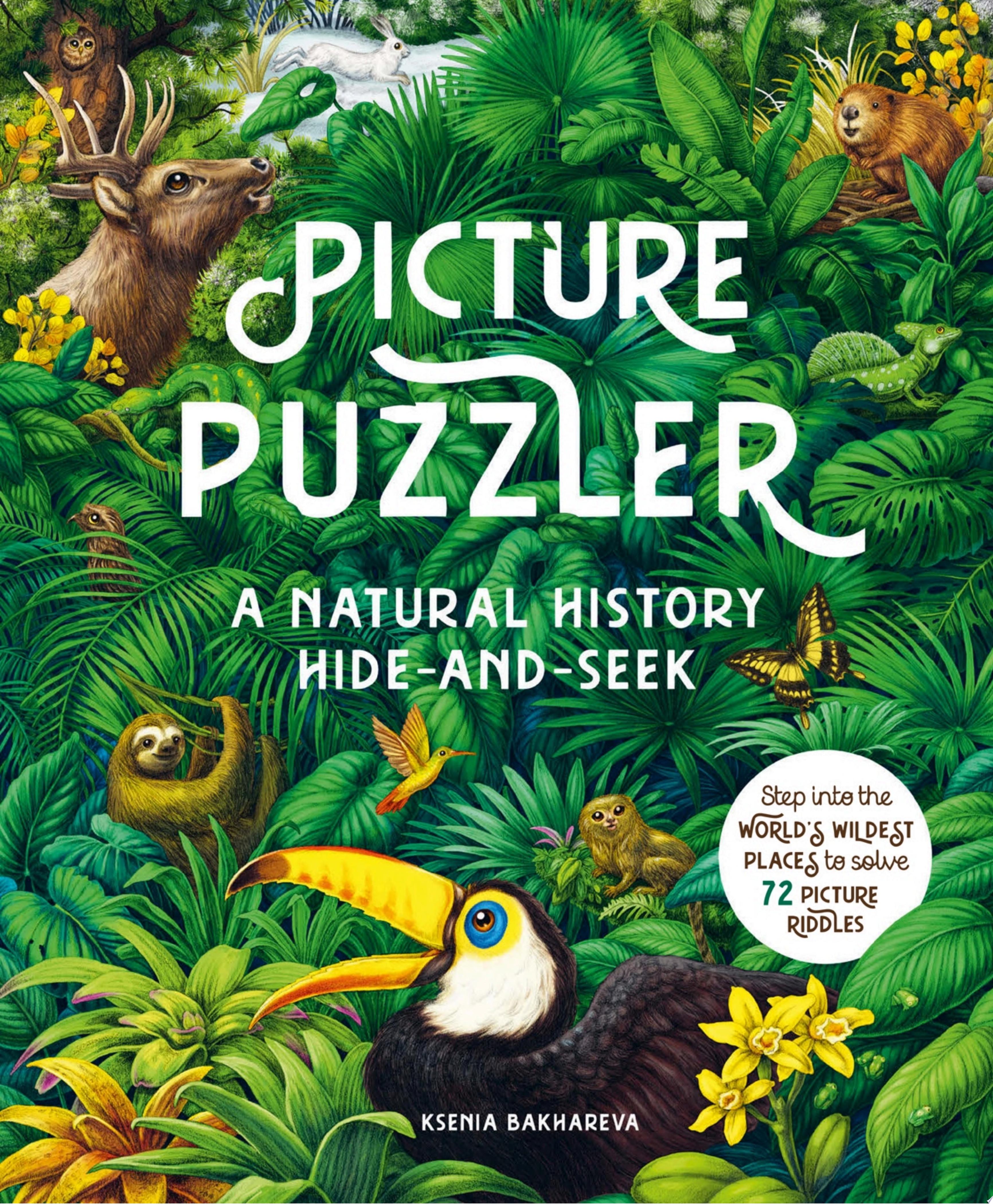 Image for "Picture Puzzler"